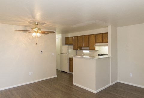 2075 S Josephine St 1-2 Beds Apartment, DU, Denver for Rent - Photo Gallery 9